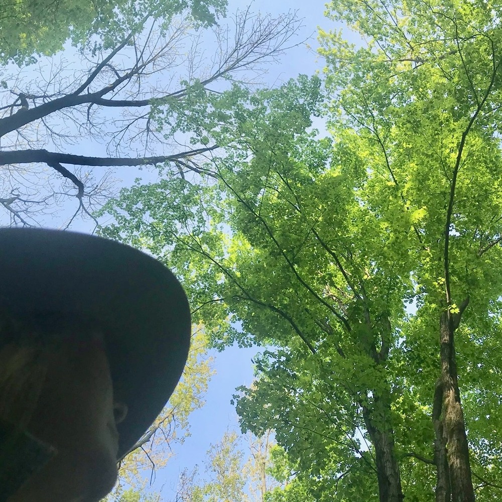 Meet your Posher, Colleen